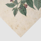 Witch Ephemera Design Series #11 Tissuepapier (Detail)