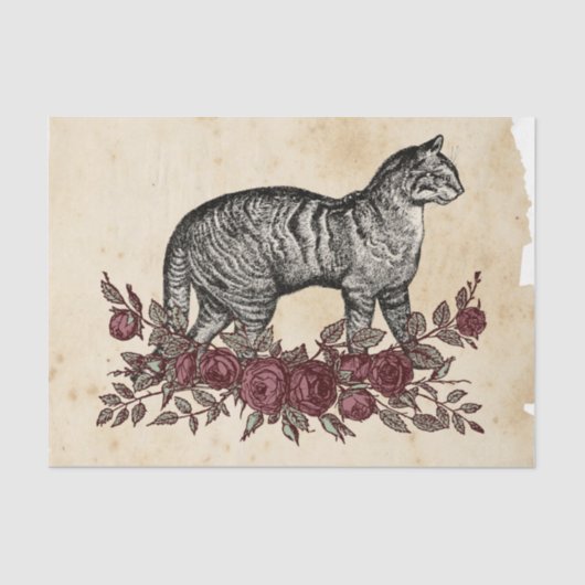 Witch Ephemera Design Series #4 Tissuepapier (Voorkant)