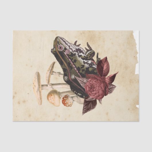 Witch Ephemera Design Series #5 Tissuepapier (Voorkant)