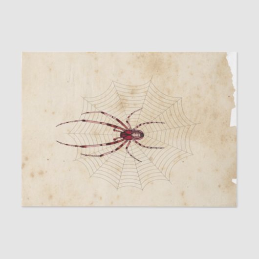 Witch Ephemera Design Series #7 Tissuepapier (Voorkant)