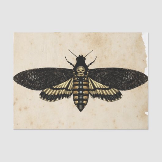 Witch Ephemera Design Series #8 Tissuepapier (Voorkant)