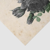 Witch Ephemera Design Series #9 Tissuepapier (Detail)