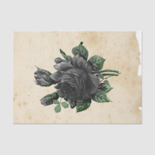 Witch Ephemera Design Series #9 Tissuepapier