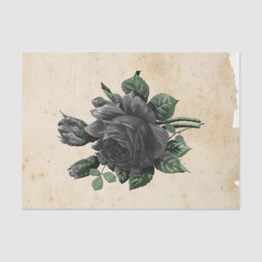 Witch Ephemera Design Series #9 Tissuepapier (Voorkant)