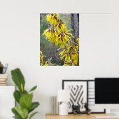 Witch Hazel Blossom Poster (Thuiskantoor)