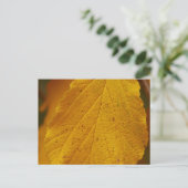 Witch Hazel Briefkaart (Staand voorkant)