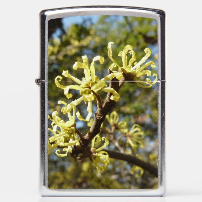Witch Hazel Flowers (Voorkant)