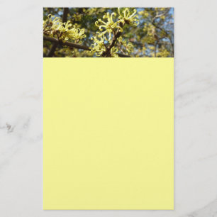 Witch Hazel Flowers Briefpapier