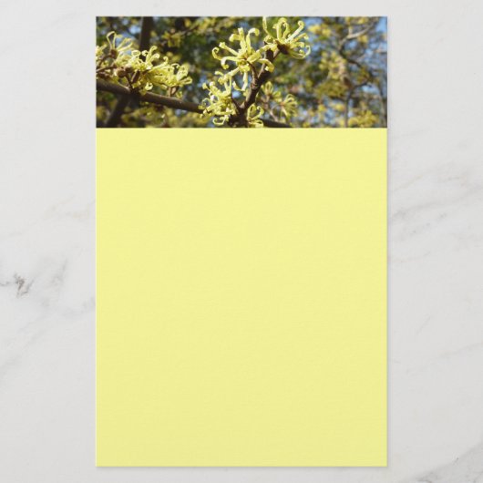 Witch Hazel Flowers Briefpapier (Voorkant)