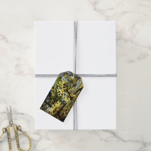 Witch Hazel Flowers Cadeaulabel (Met Touw)