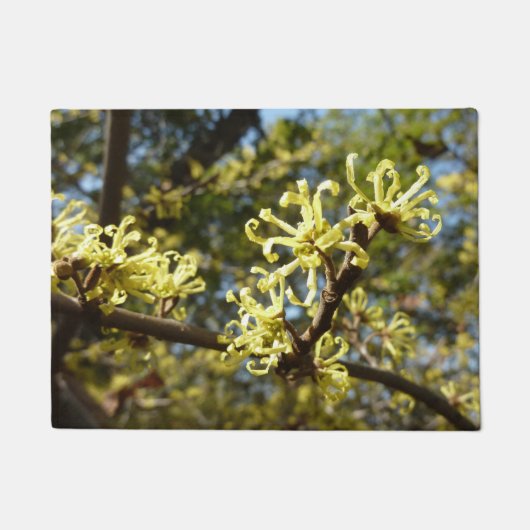 Witch Hazel Flowers Deurmat (Voorkant)