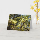 Witch Hazel Flowers Kaart (Gele Bloem)