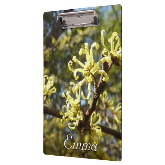 Witch Hazel Flowers Klembord (Links)