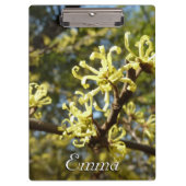 Witch Hazel Flowers Klembord (Voorkant)