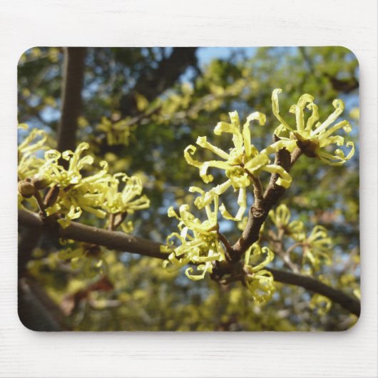 Witch Hazel Flowers Muismat (Voorkant)
