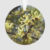 Witch Hazel Flowers Ornament (voorkant)