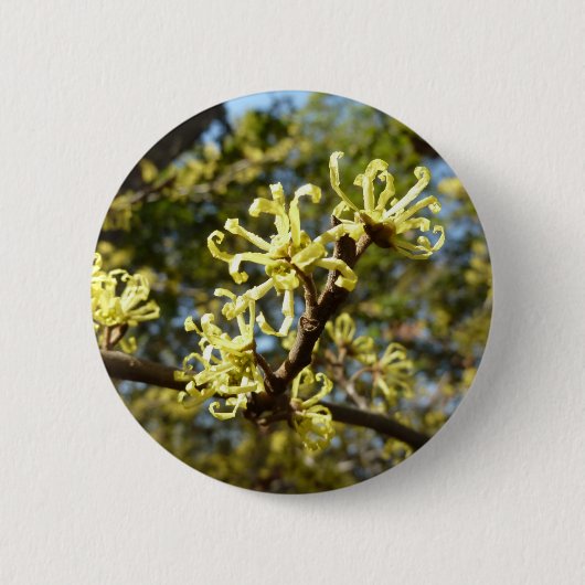 Witch Hazel Flowers Ronde Button 5,7 Cm (Voorkant)