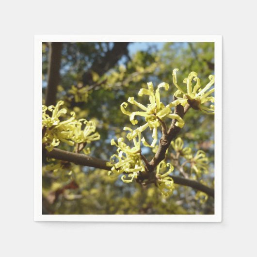 Witch Hazel Flowers Servetten (Voorkant)
