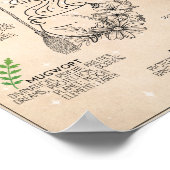 Witch Herbal Magic Art Sign Poster (Hoek)