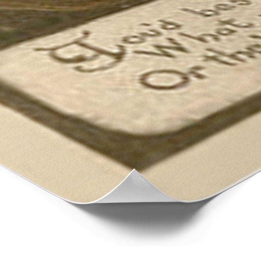 Witch Jack O' Lantern Pumpkin Goblin Poster (Hoek)