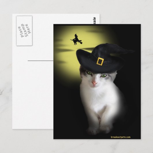 Witch Kitten Briefkaart (Voorkant / Achterkant)
