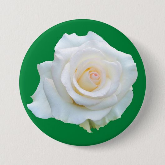 Witch Trial Memorial Button (Voorkant)