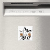 Witches zijn gek magneet (Insitu (Vaatwasser))