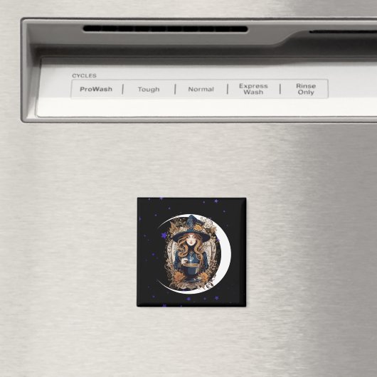 Witchy Kitchen Magneet (Insitu (Vaatwasser))