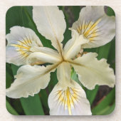 Witeindeloze Iris Bloom Floral Bier Onderzetter (Voorkant)