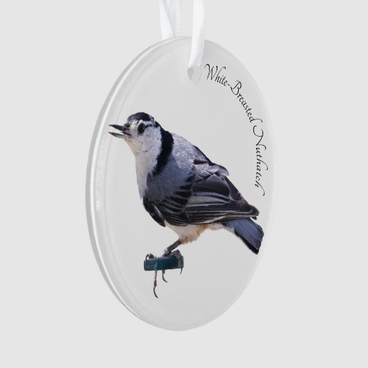 Witgebluste Nuthatch Ornament (voorkant)