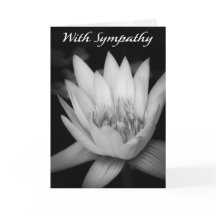 “With Sympathy” Water Lily C-Dubbelgevouwen Wenska