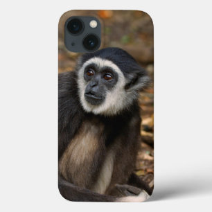 Withwitgibbon (Hylobates Lar), Monkeyland iPhone 13 Hoesje