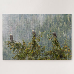 Witkopadelaars Tongass National Forest Alaska Legpuzzel