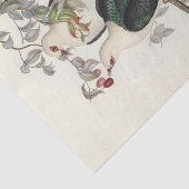 Witkopduif, ontkoppeling tissuepapier (Detail)