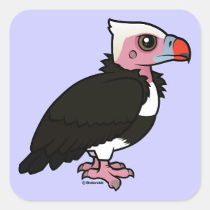 Witkopgier Vierkante Sticker