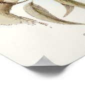 Witkopvalk van Elizabeth Gould Poster (Hoek)