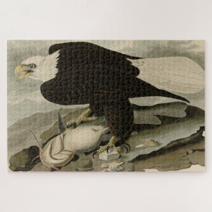 Witkopvogels van Amerika (Bald Eagle) Legpuzzel