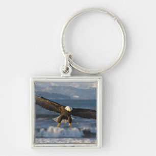 Witkopzeearend, Haliaeetus leucocephalus, Homer, 3 Sleutelhanger