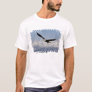 Witkopzeearend in vlucht, Haliaeetus leucocephalus T-shirt