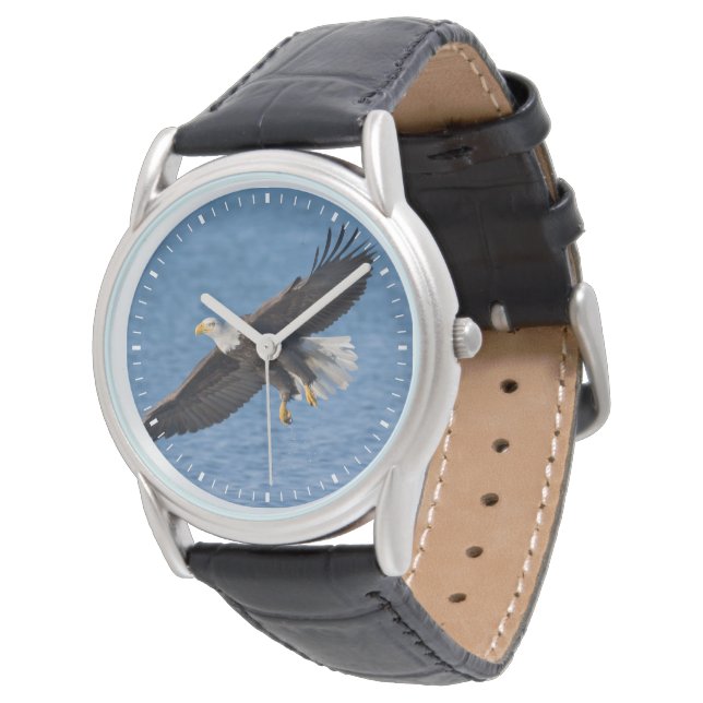 Witkopzeearend in vlucht horloge (Gekanteld)