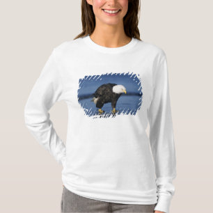 Witkopzeearend T-shirt
