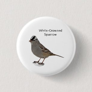 Witkruid Ronde Button 3,2 Cm