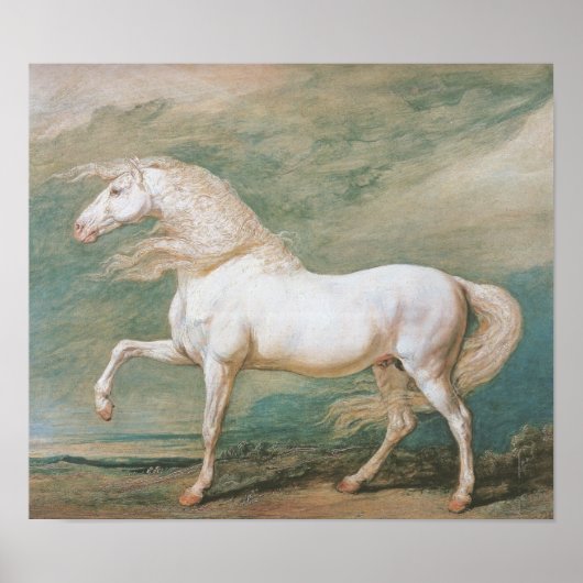 Witlader Poster (Voorkant)