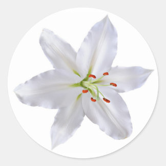 Witlende Ronde Sticker