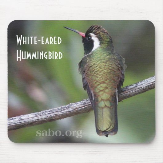 Witoorige Hummingbird Mousepad Muismat (Voorkant)