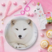 Witpoolvos in sneeuw papieren bordje (Feest)