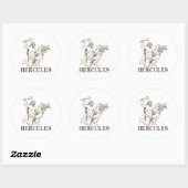 WITS: Hercules Ronde Sticker (Vel)