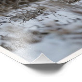 Witsneeuwiger Foto Afdruk (Hoek)