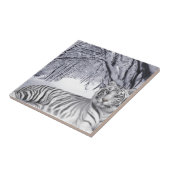 Witsneeuwiger Tegeltje (Zijkant)