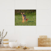 Witstaarster | Grassy Habitat Poster (Keuken)